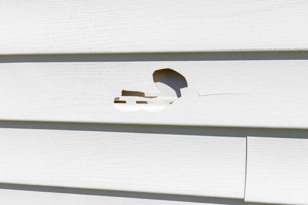 Siding Removal and Disposal in New Wilmington, PA